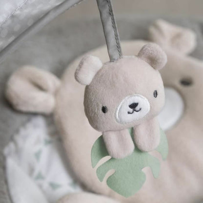 V5HEF6815CF46FF758C33308959CCED4237R3625022P6