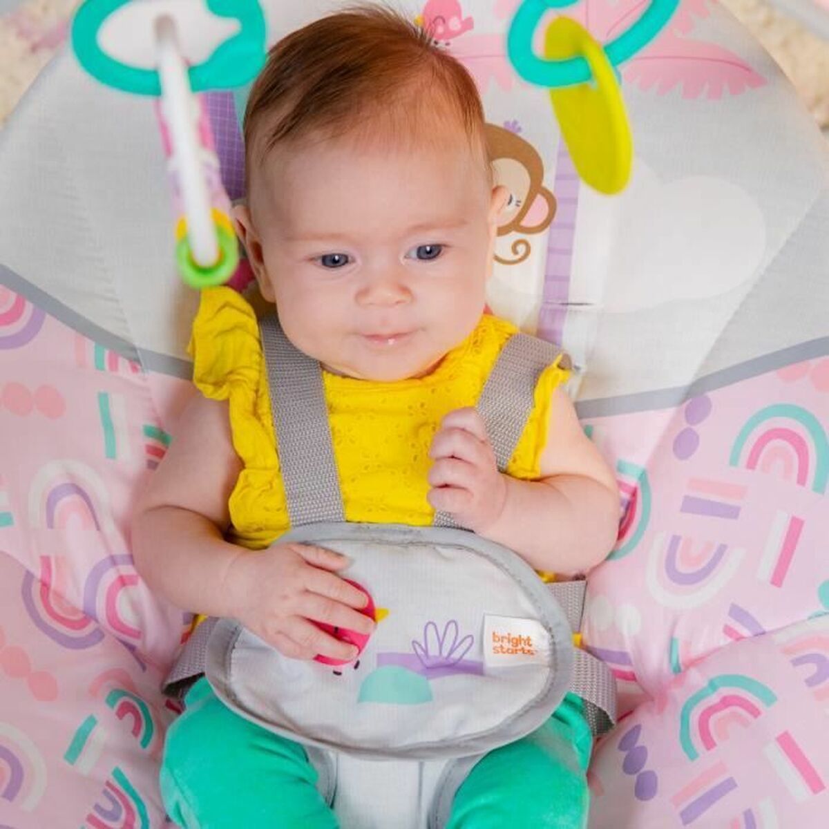 V4H4E917204616C34C1D553E505AE4F885AR4224525P3