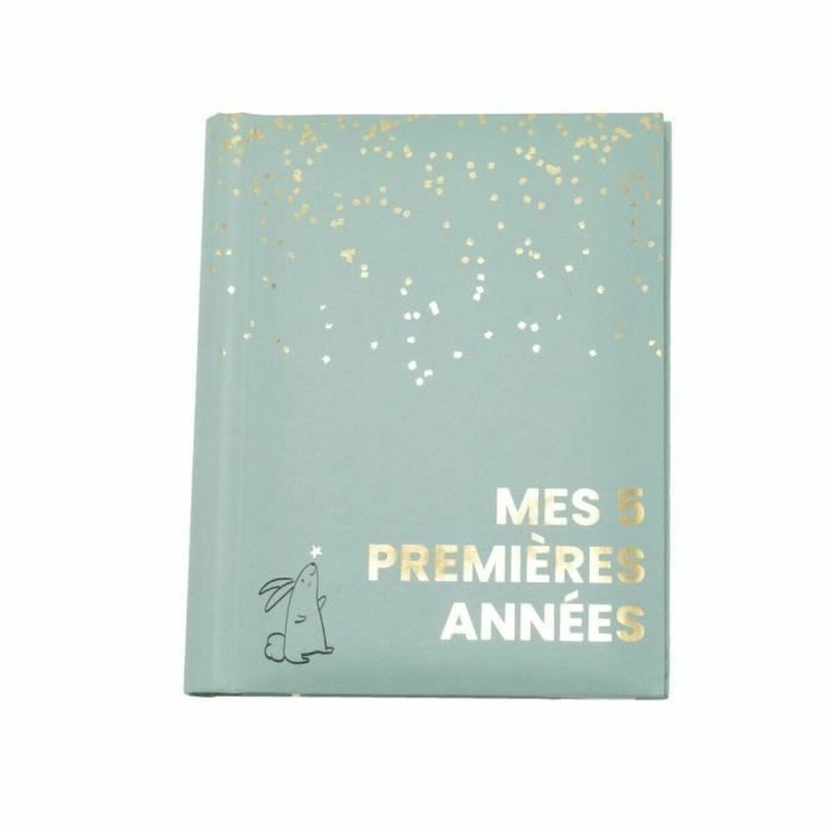 V2H5C21F1377B123A717F5BE8B54982D96CR7254336P1