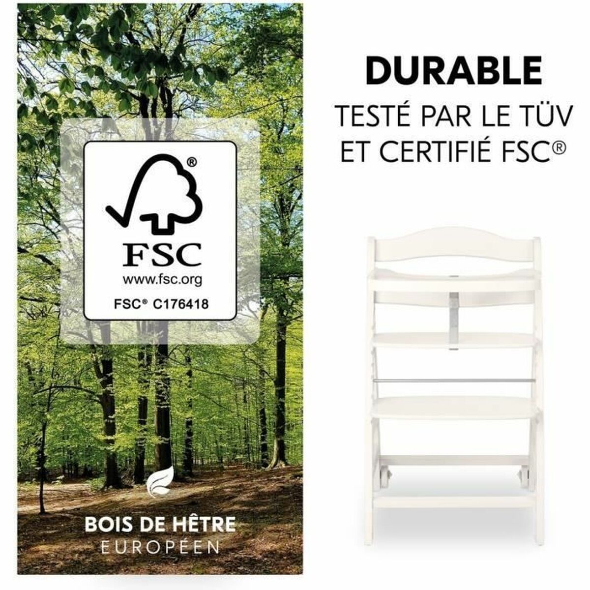 V2HCC6F5CCCB9A40A61E6823A4F751224F5R7054751P4