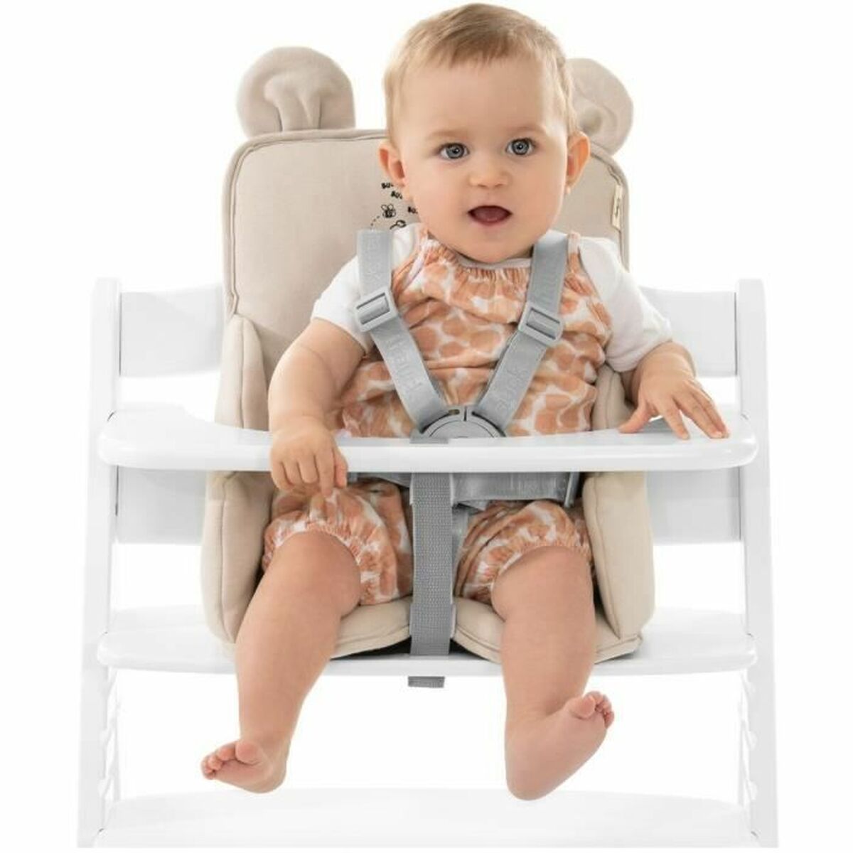 V2HD433BF250DB00AC9D65D028FD39074A5R7058067P2